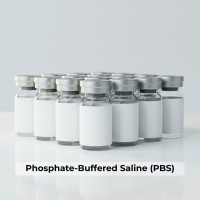 Phosphate-Buffered Saline (PBS) 30mL